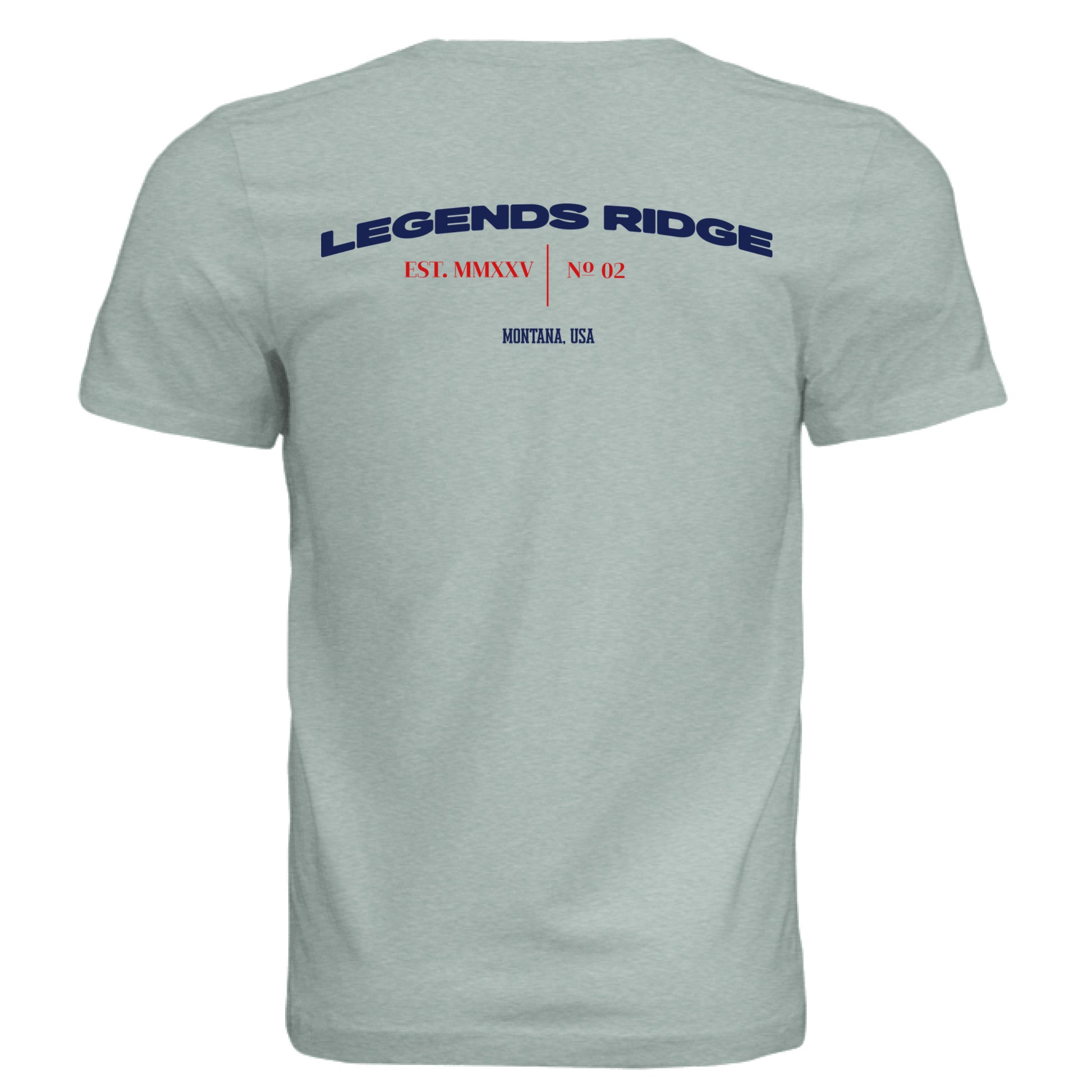 Dusty Blue Triblend - BACK